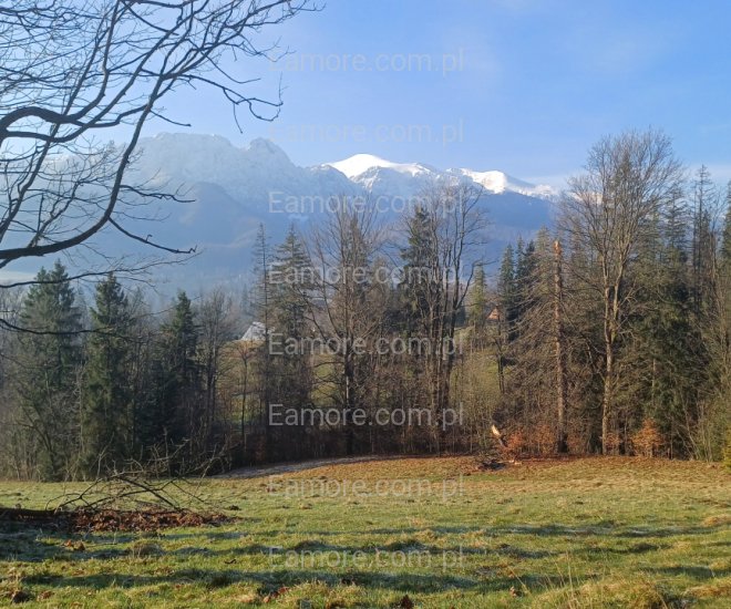 Pan szuka pani Zakopane