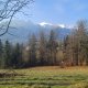 Pan szuka pani Zakopane