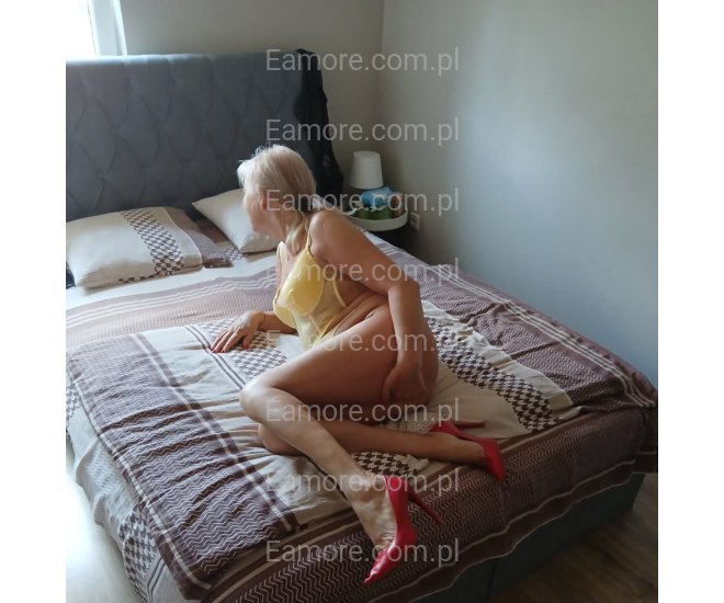 Pani szuka pana Katowice