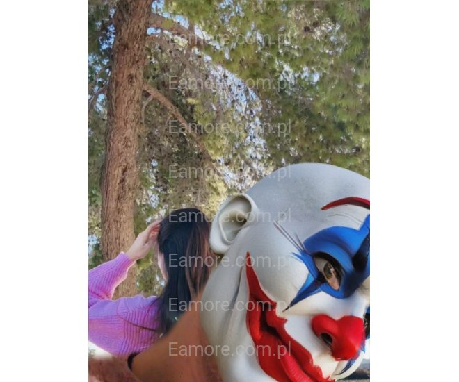 Pan szuka pani Poznań