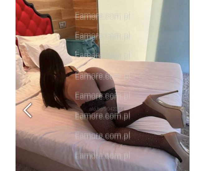Pani szuka pana Dębica
