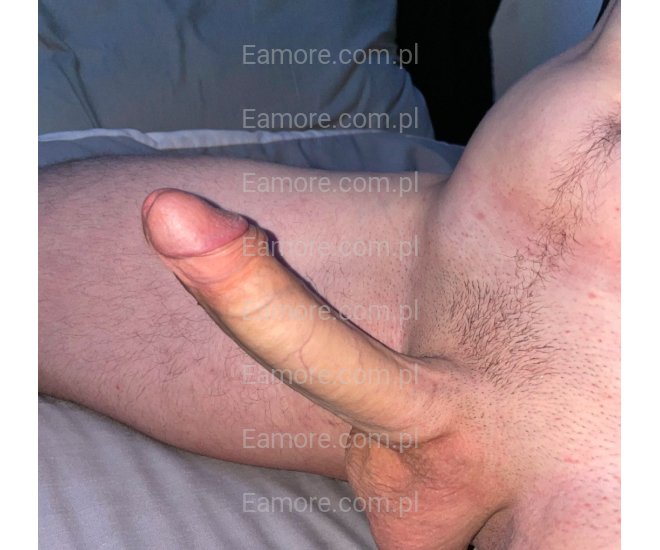 Pan szuka pary Katowice