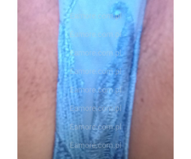 Pani szuka pana Bytom