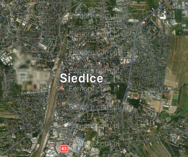 Pan szuka pani Siedlce