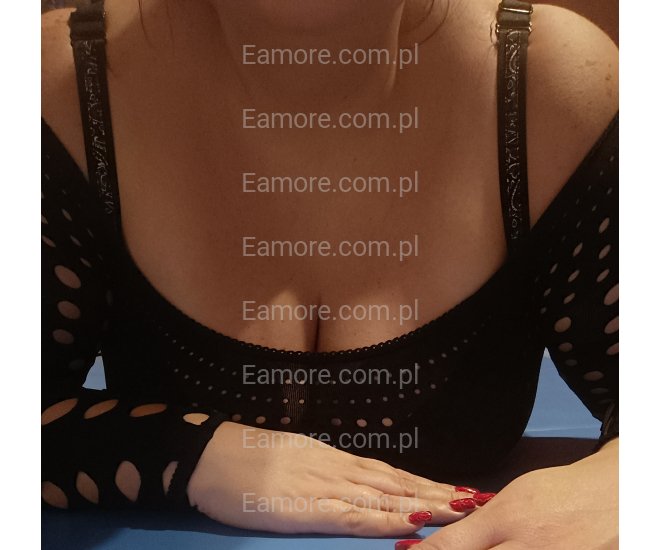 Pani szuka pana Zabrze