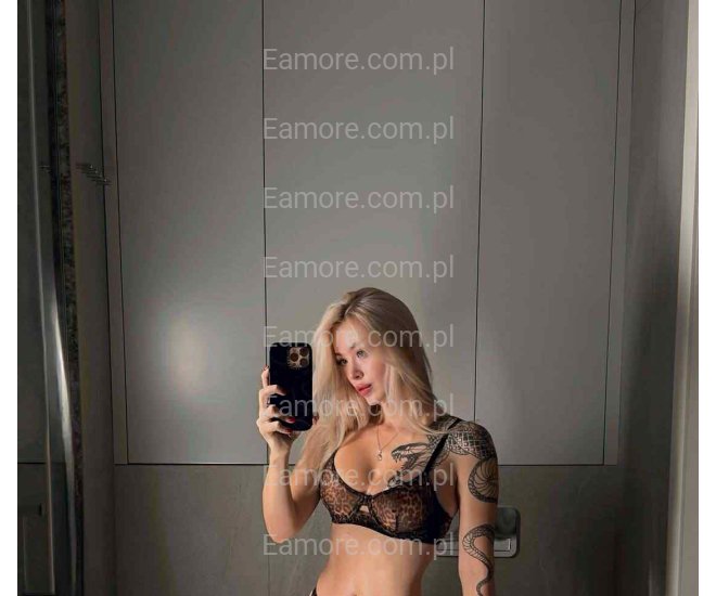 Pani szuka pana (komunikatory) Katowice