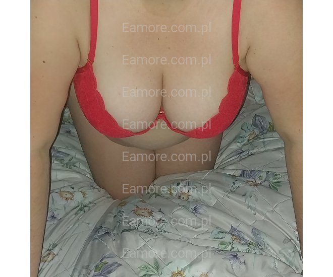 Pani szuka pana Częstochowa