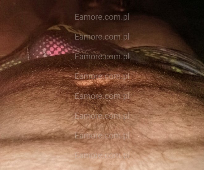 Pan szuka pani Kalisz