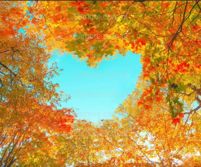 Pan szuka pani Ruda Śląska