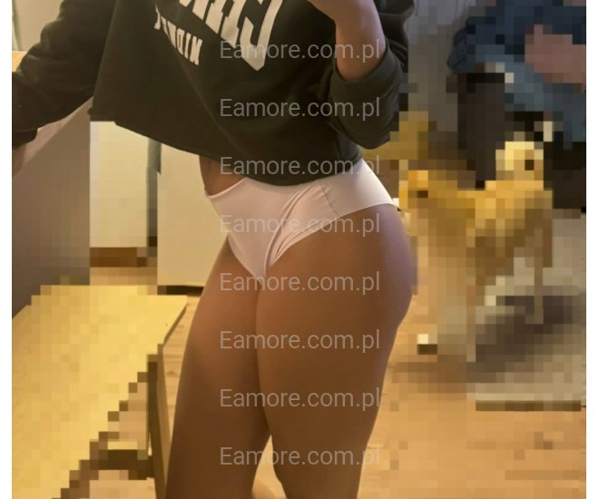 Pani szuka pana Płock