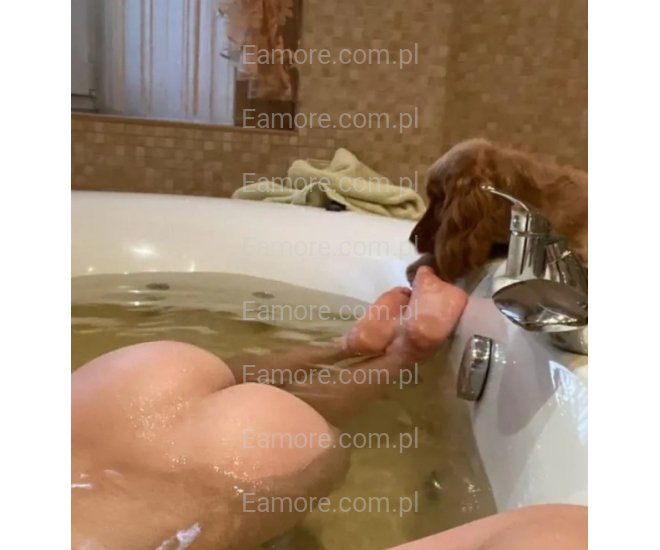 Pani szuka pana Podlaskie