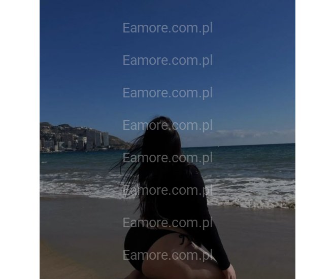 Pani szuka pana (komunikatory) Katowice