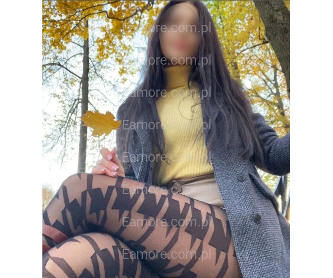 Pani szuka pana Ciechanów