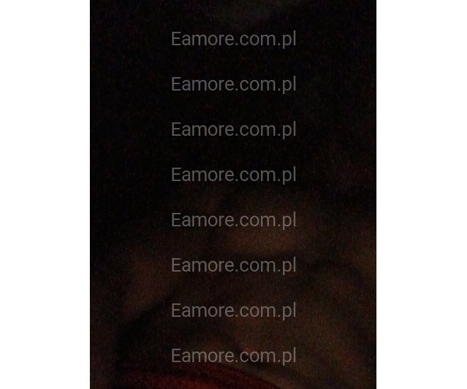 Pan szuka pani Jastrowie