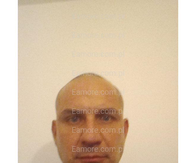 Pani szuka pana (komunikatory) Bydgoszcz