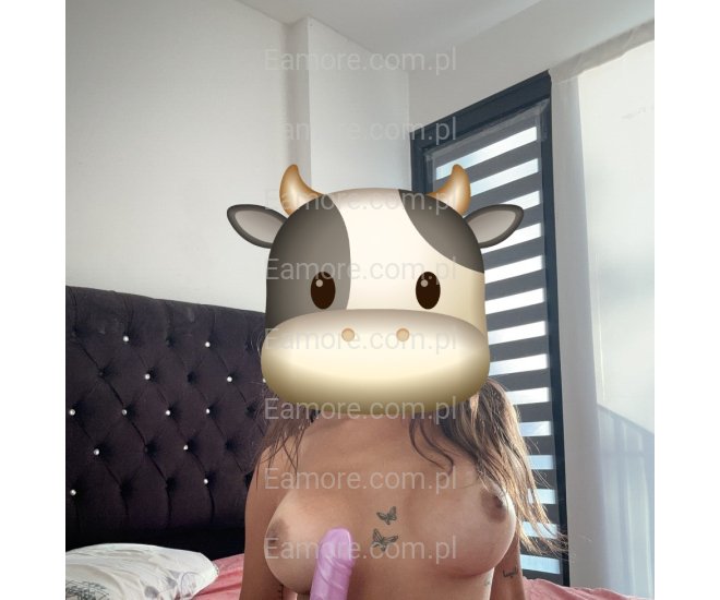 Pani szuka pana Przemyśl