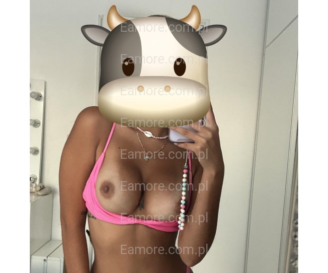 Pani szuka pana Przemyśl