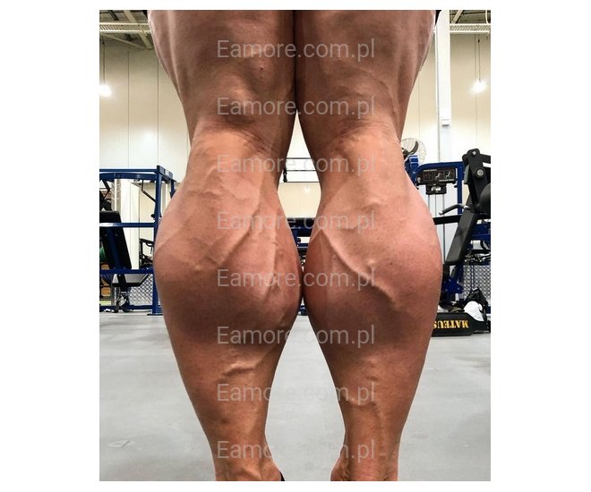 Master szuka niewolnika Poznań