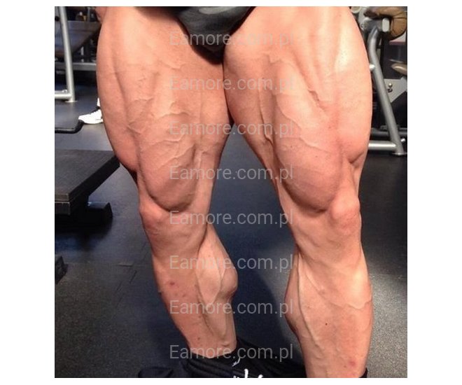 Master szuka niewolnika Poznań