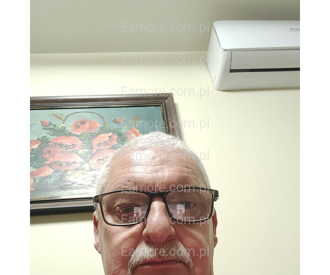 Pan szuka pani Mielec