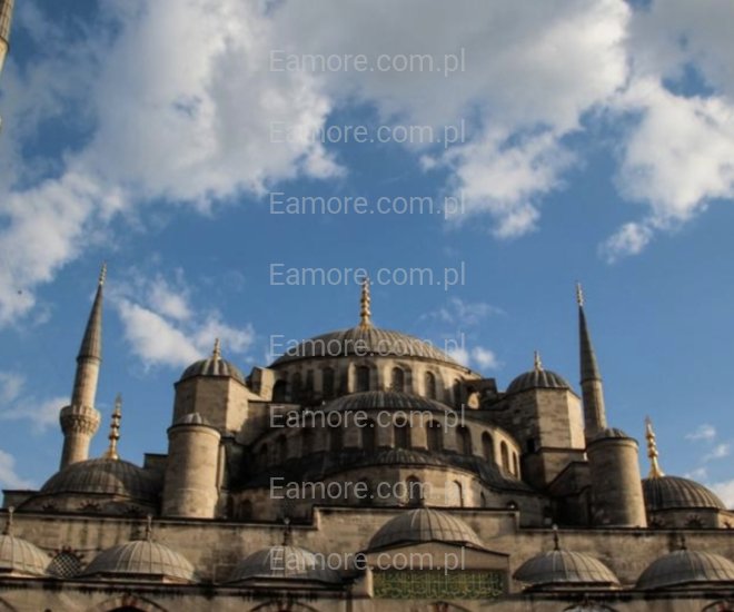 Pan szuka pani Bytom