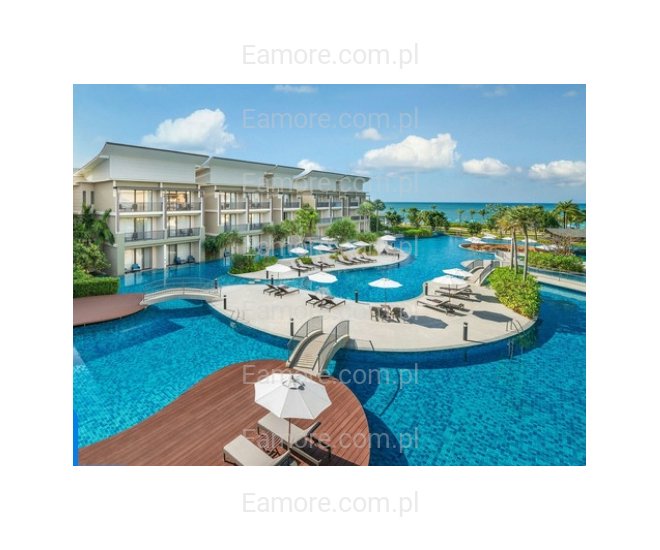 Pan szuka pani Śląskie