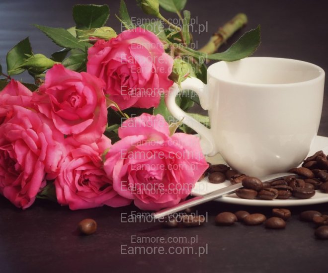 Pan szuka pani Warszawa