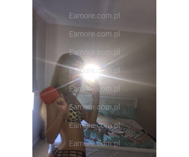 Pani szuka pana (komunikatory)