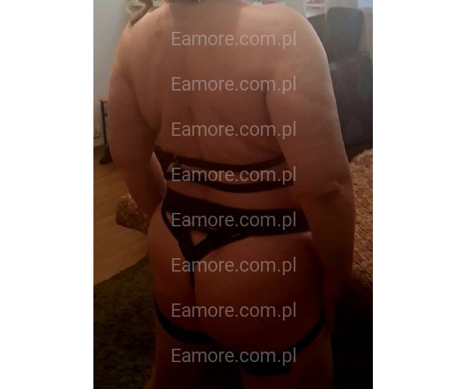 Pani szuka pana (komunikatory) Toruń