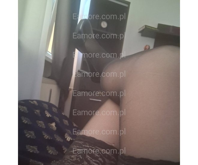 Pani szuka pana (komunikatory) Toruń