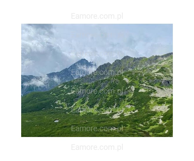 Pan szuka pani Kraków