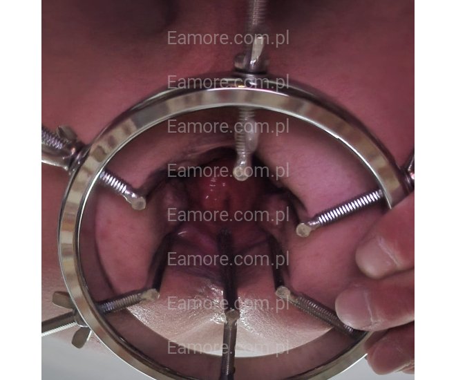 Zdjęcia i filmy Gdańsk