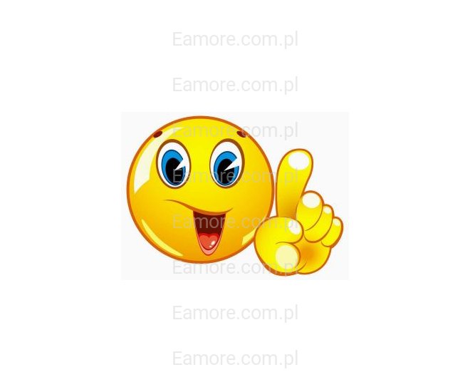 Pan szuka pani Łódź