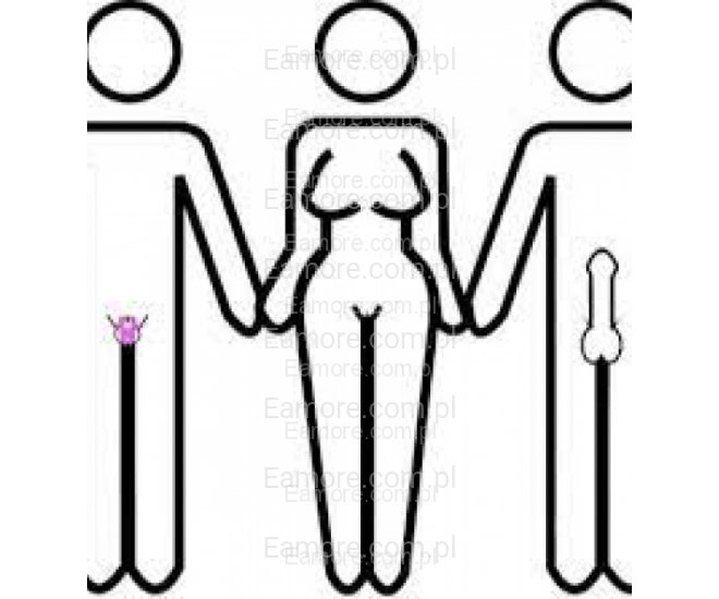 Pan szuka pani Warszawa