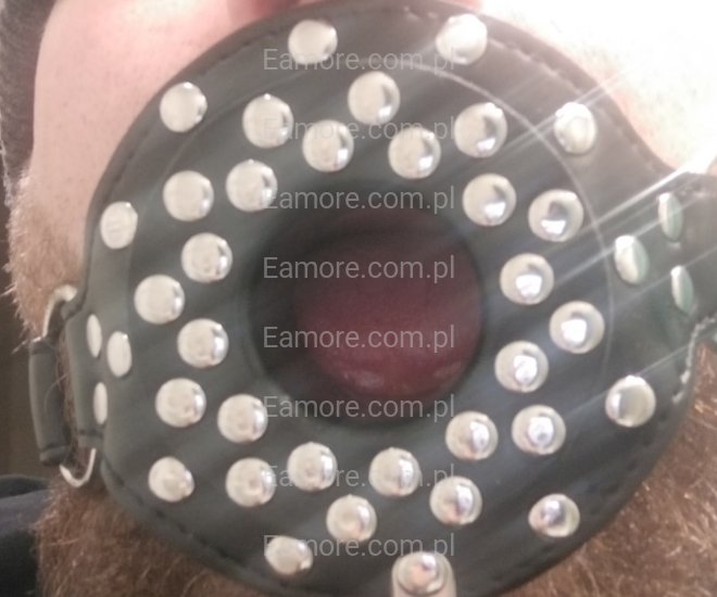 Pan szuka pana Katowice