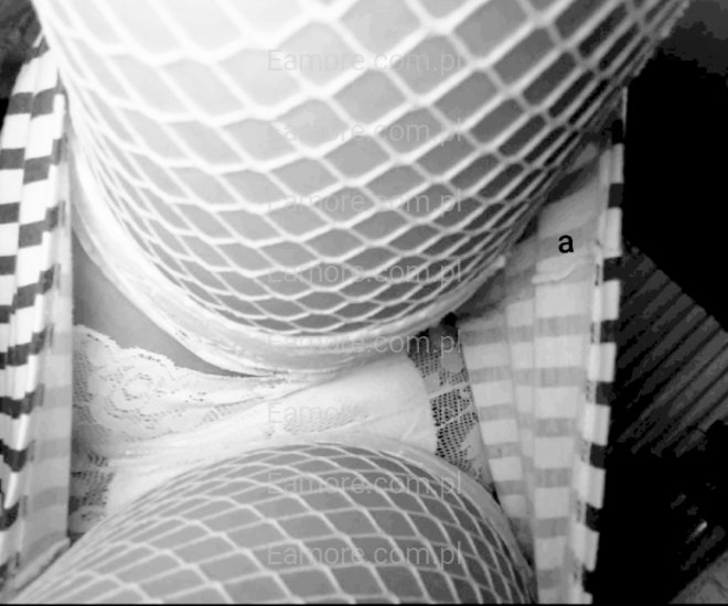 Pani szuka pana Lubawa