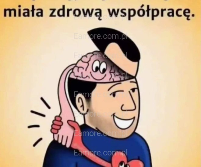 Pan szuka pani Mysłowice