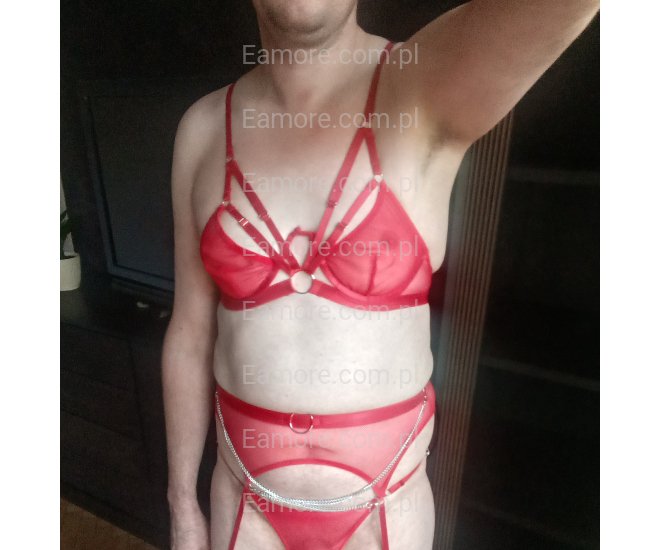 Ogłoszenia panów Śląskie