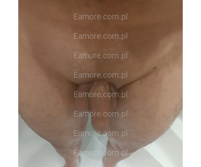 Pan szuka pani Tychy