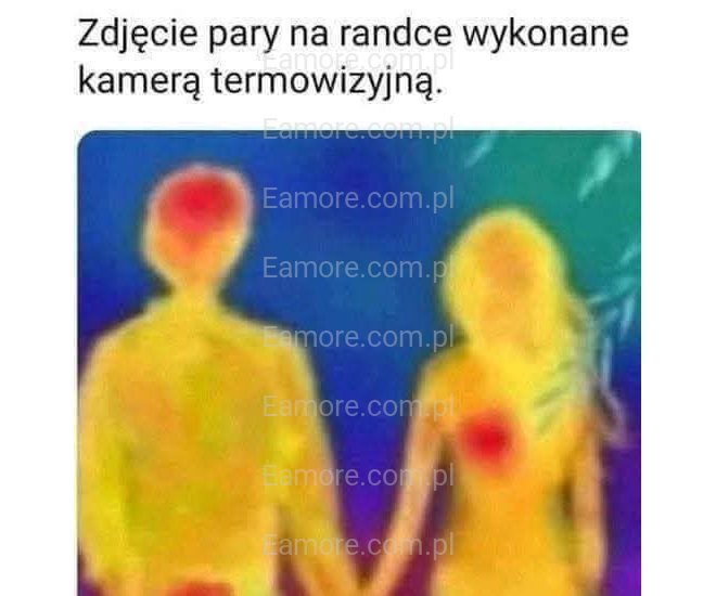 Pan szuka pani Częstochowa