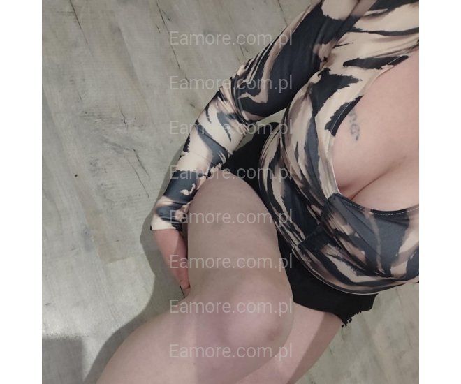 Pani szuka pana Legnica