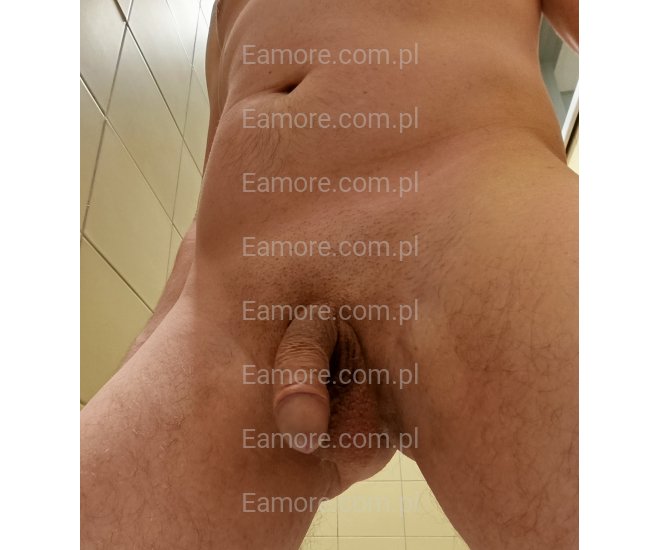 Pan szuka pana Chorzów