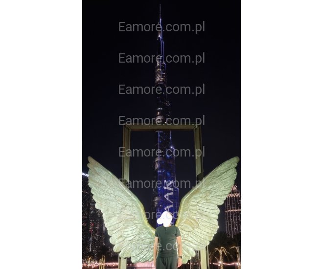 Pan szuka pani Kielce