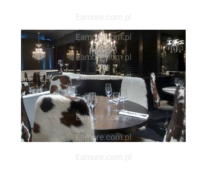 Pan szuka pani Krosno