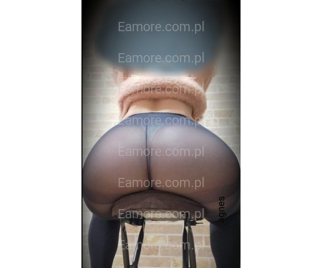 Pani szuka pana Elbląg