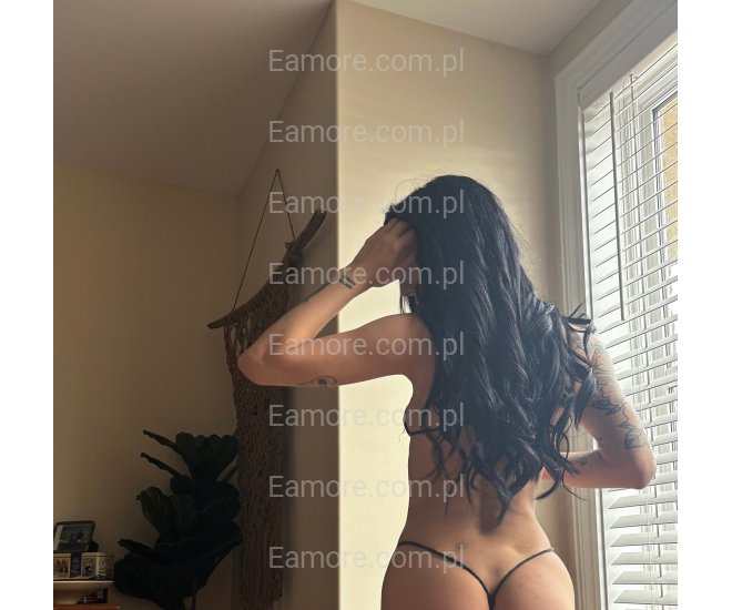 Pani szuka pana (komunikatory) Podlaskie