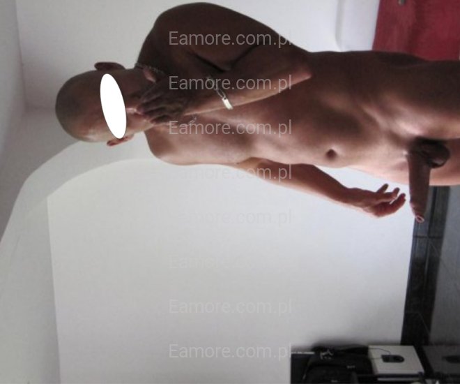 Pan szuka pary Katowice