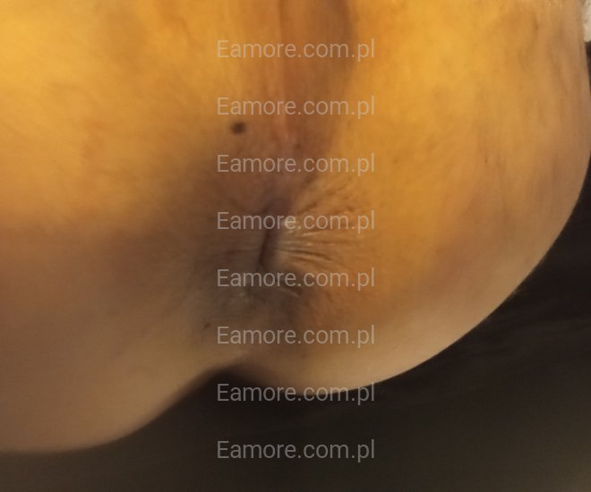 Pan szuka pana Wrocław