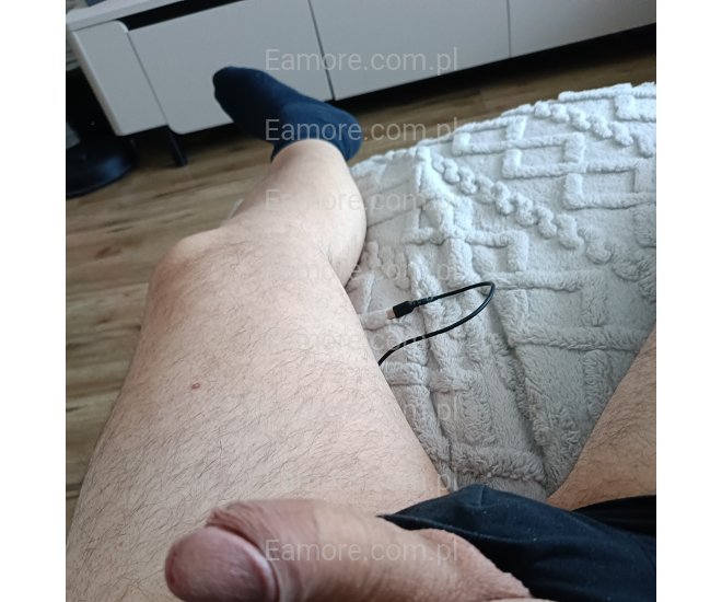 Pan szuka pani Gliwice