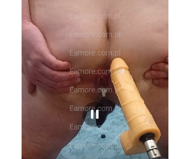 Pan szuka pana Śląskie